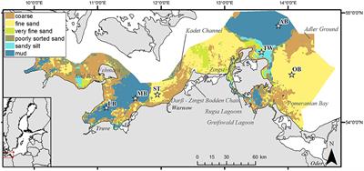 In Search of a Field-Based Relationship Between Benthic Macrofauna and Biogeochemistry in a Modern Brackish Coastal Sea